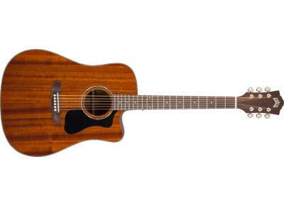 Guild GAD D-125CE