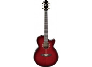 Ibanez AEG24II