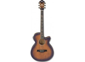 Ibanez AEG40II