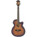 Ibanez AEG40II