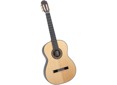 Takamine H8SS