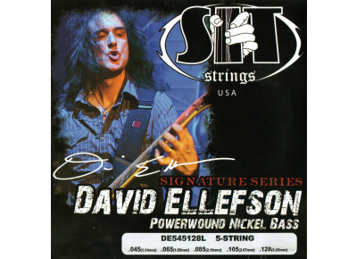 SIT Strings David Ellefson Signature