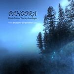 Bluezone sort Pandora