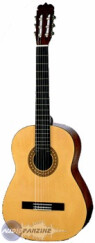 Takamine Jasmine