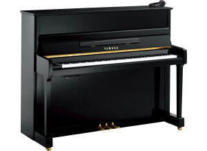 Yamaha P116 SH