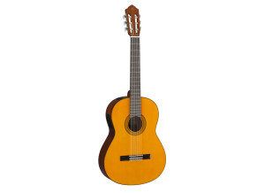 Yamaha CGX102