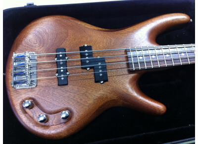 BG CUSTOM GUITARS BG-06