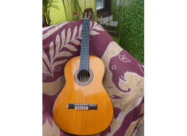 Yamaha G-231Il