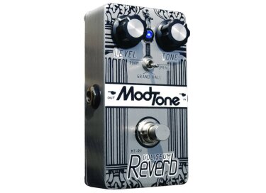 Modtone MT-RV Coliseum Reverb