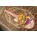 Voir la photo de la Skate Guitar Skate Guitars Skate Guitar Skate Guitars