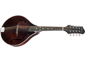 Eastman MD305