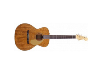 Fender Newporter Pro Custom Bolt-On