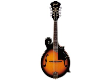 Ibanez M520