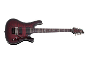 Schecter Special Edition Hellraiser 006 FR