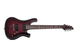 Schecter Special Edition Hellraiser 007