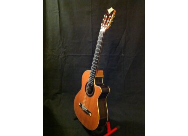 Alhambra Guitars CS-3 CW E2