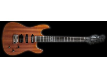 Chapman Guitars ML-1