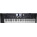 Voir la photo du Roland BK-9 Roland BK-9