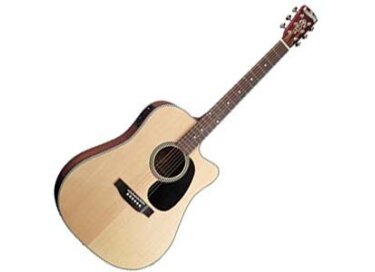 Blueridge BR 43 CE