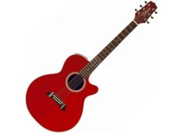 Takamine EF261SWR