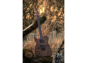 Hufschmid Guitars H6 Lefty