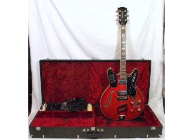 Musiconics Guitorgan B-300