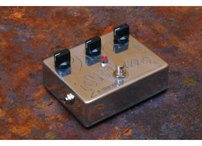 El Musico Loco El Boludo