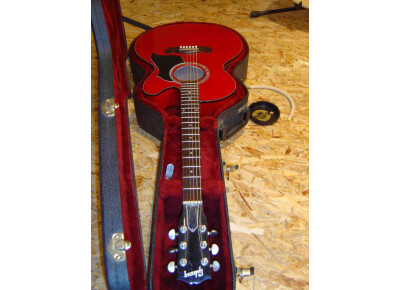 Gibson EC-10 Standard