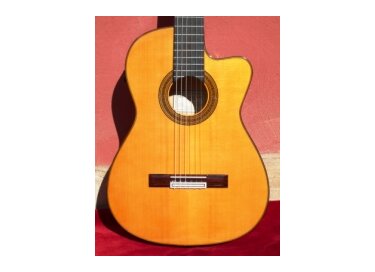 Miguel Ángel Bellido guitare flamenca