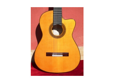 Miguel Ángel Bellido guitare flamenca