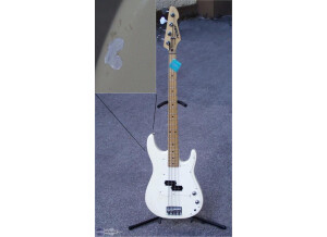 Peavey Fury
