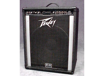 Peavey Databass