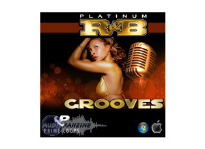 Loopmasters Platinum RnB Grooves