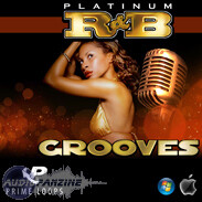 Loopmasters Platinum RnB Grooves