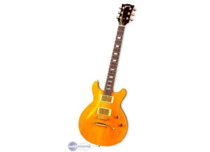 Gibson Les Paul Standard DC Lite