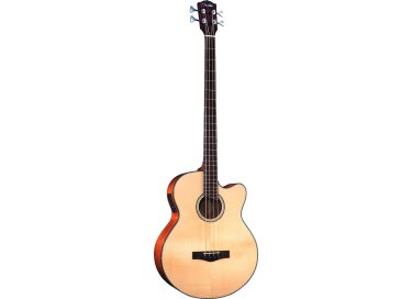 Fender GB 41SCE