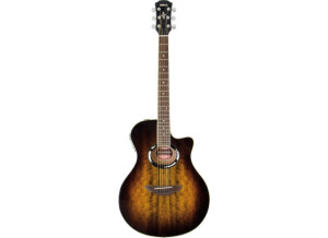 Yamaha APX500IIEW