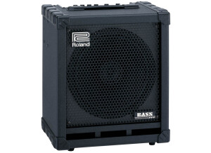 Roland Cube-100 Bass