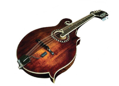 L.R. Baggs Radius-M Mandoline Pickup