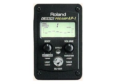 Roland AP-1