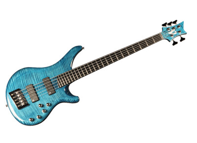 Vigier Arpege IV 5 Strings