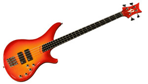 Vigier Passion IV