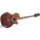 Voir la photo du Takamine EF508C Takamine EF508C