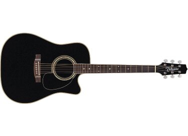 Takamine EG541C