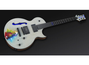Framus AK 1974 Mandelbrot Devin Townsend Signature