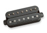 Micros Seymour Duncan Nazgûl et Sentient