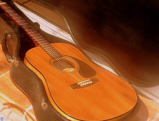 Seagull S6+ Cedar LR Baggs