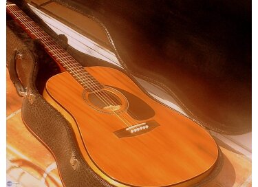 Seagull S6+ Cedar LR Baggs