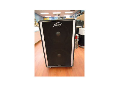 Peavey 215