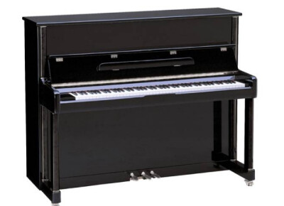 Wilh. Steinberg P118